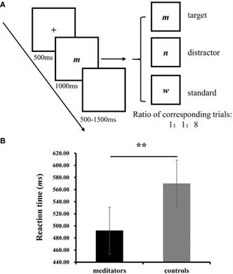 Differences in attentional function between experienced mindfulness meditators and non-meditators